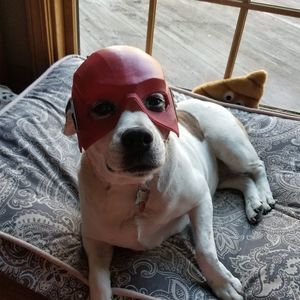 Meet your Posher, Carla